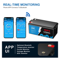 Batterie LiFePO4 12V avec BMS |   6000 cycles |   BPI 100Ah |   Remplacement parfait pour les batteries au plomb 12V dans les systèmes solaires, les camping-cars et les applications marines