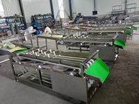 Hete verkoop fruit dadels ui sorteermachine en maat sorteermachine appel walnoot zwarte peper fruit & groente sorteermachine