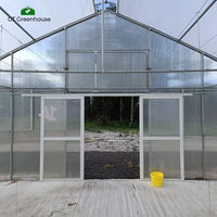 Serre en film plastique à tunnel unique, économique et facile à utiliser, GT Four Seasons, à vendre
