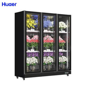 Refrigeración por aire Flor de corte fresco <span class=keywords><strong>Floreria</strong></span> 2 Frigoríficos de puerta de vidrio para exteriores de doble puerta con pantalla de temperatura única a la venta - Product Image 4