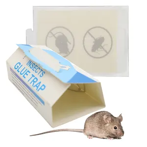 Piège à colle collant de souris de rat pré appâté en carton adhésif fort pour souris et rats