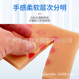 Modèle avancé d'injection intradermique du bras ; modèle d'entraînement pour tests cutanés ; injection sous-cutanée ; modèle d'entraînement ; modèle de bras - Product Image 2