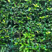 Filet d'escalade en polypropylène stabilisé aux UV pour plantes de jardin potager avec maille personnalisable et service de découpe