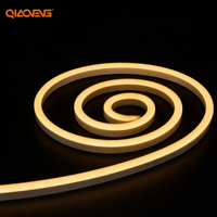 Bande lumineuse LED néon PVC flexible à émission latérale 12V 3000K Ra80 280lm par mètre IP65 OEM pour aménagement paysager et jardin