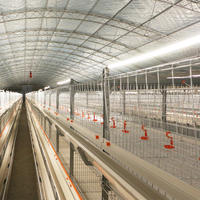 Cages de type H pour poulets de chair Cages pour poulets de chair Système de cages pour poulets de chair Ferme pour poulets de chair