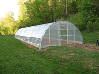 Approvisionnement direct usine : Grand système hydroponique agricole à structure en acier galvanisé à chaud, 150 microns PE, pour ferme, monotravée