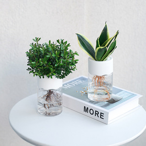 Vaso Idroponico P440 <span class=keywords><strong>per</strong></span> <span class=keywords><strong>Fiori</strong></span>, Decorazione Casa, Vaso Trasparente <span class=keywords><strong>in</strong></span> <span class=keywords><strong>Plastica</strong></span> <span class=keywords><strong>per</strong></span> Piante Senza Suolo, Vaso <span class=keywords><strong>per</strong></span> Piante Verdi <span class=keywords><strong>per</strong></span> Decorazione Domestica - Product Image 2