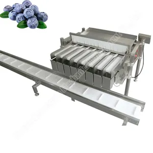 Máquina automática de envasado de frutas, bandeja de arándano