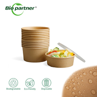 Boîte d'emballage rectangulaire jetable pour plats à emporter, idéale pour salades, soupes chaudes, snacks, bonbons, sucre et lait – Fabrication bio