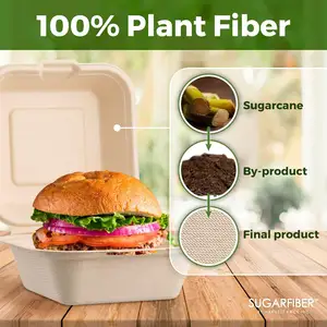 Disposable Hamburger Food Containers Biodegradable Bagasse Clamshell Lunch Box Eco-Friendly Natural Takeout Box Made Sugarcane