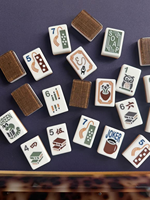 Ensemble de Mahjong américain illustré de luxe, tuiles en acrylique avec dos écaille de tortue, jeu de table pour collectionneur, divertissement à domicile