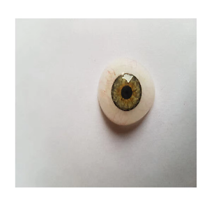 ดวงตาเทียมสีเขียวแบบปรับแต่งได้ รูปทรงธรรมชาติ เหมือนจริง สำหรับใช้เป็นฐานสำหรับเครื่องมือผ่าตัด - Product Image 6