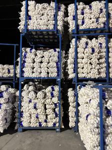 Ajo affresco Caj De 10 kg Ajo Chino - Product Image 3