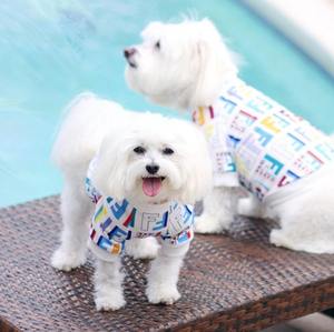 Suéteres para Perros Modernos y Elegantes de Algodón y Poliéster Ecológicos con Logotipo Personalizado, Ropa con Estampado de Letras a la Moda, Novedad de 2025 - Product Image 3