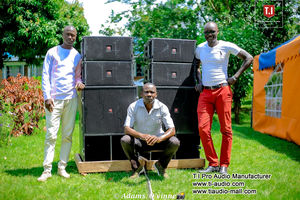 LA-110 T.I ProAudioブランドのシングル10インチ空ラインアレイスピーカーキャビネットボックスイベント用プロフェッショナルステージスピーカーLA- - Product Image 5