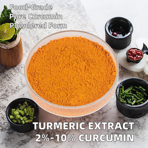 Vente en gros : Poudre d'extrait de racine de curcuma naturel de qualité alimentaire 2%~10% en fût sous vide pour l'alimentation animale et les extraits végétaux - Product Image 3