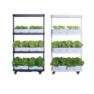 Smart low cost plant hydroponics vertical tower garden hydroponic grow systems plant vegetable with LED grow Light