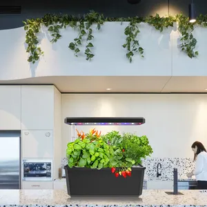 Hydro ponics Growing System Aeroponics Automatische Bewässerungs systeme Smart Herb Garden mit Sichtfenster