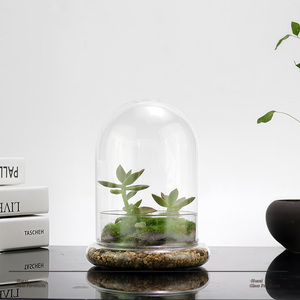 Terrario Moderno in Vetro Trasparente con Foro <span class=keywords><strong>per</strong></span> l'Aria, Vaso da Tavolo Ecologico <span class=keywords><strong>per</strong></span> <span class=keywords><strong>Piante</strong></span> <span class=keywords><strong>Grasse</strong></span>, Muschio, Mini Giardino, Decorazione <span class=keywords><strong>per</strong></span> Casa e Ufficio - Product Image 3