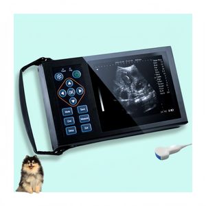 Échographe portable RS A10 étanche à sonde convexe pour le comptage des porcelets gestants dans les élevages porcins et l'imagerie professionnelle - Product Image 1