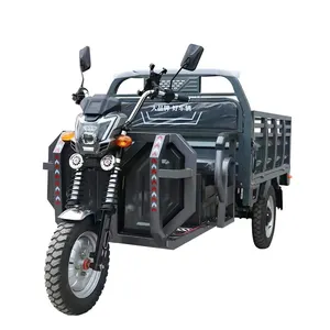 Cargo Tricycle Load Capacity 800 Kg Can Accommodate 2 People Electric Tricycle