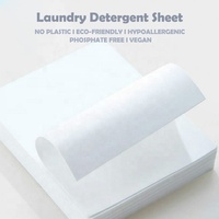 Bandes de détergent à lessive sans plastique-Compatible avec HE, Ion d'argent antibactérien intégré et enzyme solide