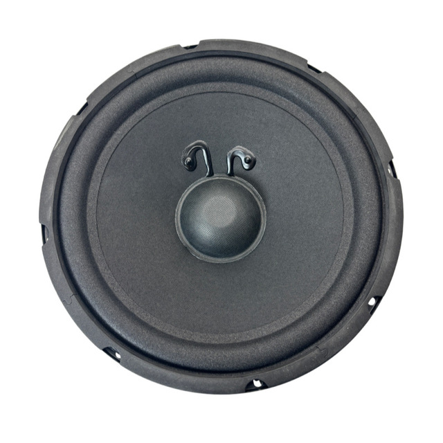 HDT&OEM 10 Inch Black Full Frequency High Power Card Holder Box Speaker for KTV Singing and Listening