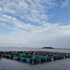 Qihang Nổi Dưa Chuột Biển và Abalone Lồng Ròng Ròng - Product Image 2