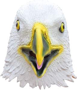 หน้ากากนกอินทรีสำหรับงานปาร์ตี้ฮาโลวีนหมวกแบบเต็มหน้า - Product Image 1