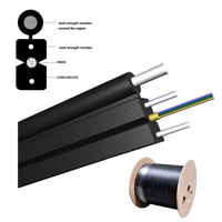 FTTH 1-12 Colores Fibers with Two FRP Self-supporting Covered Wire Cable Single Mode G652D/G657A1 Fiber Optic Cable