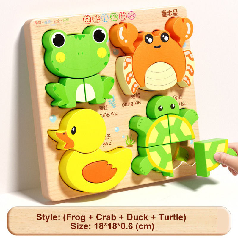 เป็ดน้อย กบตัวน้อย ปู เต่าน้อย