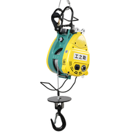 Télécommande sans fil 220v Mini treuil électrique à câble métallique
