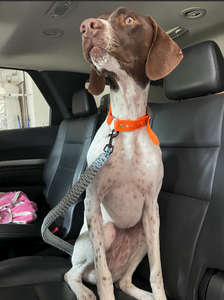 새로운 강아지 선물 24 인치 Paracord 개 안전 가죽 끈 개 큰 개를위한 자동차 안전 슬링 - Product Image 2