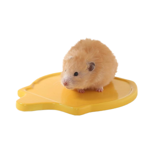 Tafit bal şekilli seramik Hamster Hideout-küçük evcil hayvan Habitat dekor için suriye ve cüce hamsterler, Gerbils, fareler, fareler, Toads - Product Image 6
