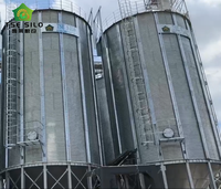Silo en acier anticorrosion à fond trémie pour stockage automatique de tourteaux de soja pour élevages