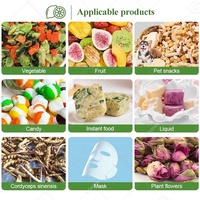 Lyophilisateur industriel Liofilizador Lyophilisation Séchage à sec Séchage à sec Équipement pour aliments