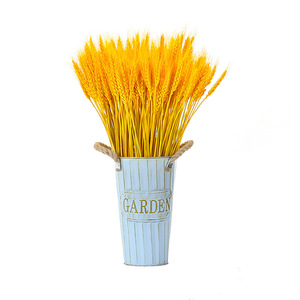 Bouquet de fleurs séchées Kch en forme d'épis de blé doré naturel, 100 épis, décoration de jardin, décoration de salon, accessoire de photographie - Product Image 1