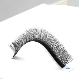 Fournitures de cils en soie de marque privée professionnelle, vente en gros, Extension de cils en éventail facile, mat 0.07mm, Extensions de cils YY