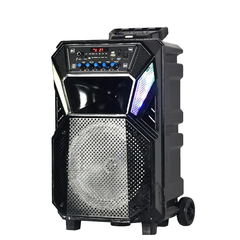 Custom own mold BT 8 inch subwoofer portable trolley speaker player karaoke