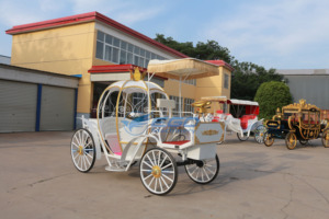 Carruaje de Cenicienta en Venta, Transporte Especial, Carruaje de Fantasía de Princesa Calabaza, Carruaje Eléctrico en Venta - Product Image 3