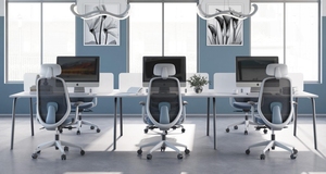 Mobilier de bureau ergonomique en maille pour la maison et le bureau <span class=keywords><strong>Ergohuman</strong></span> Design moderne Ascenseur - Product Image 6