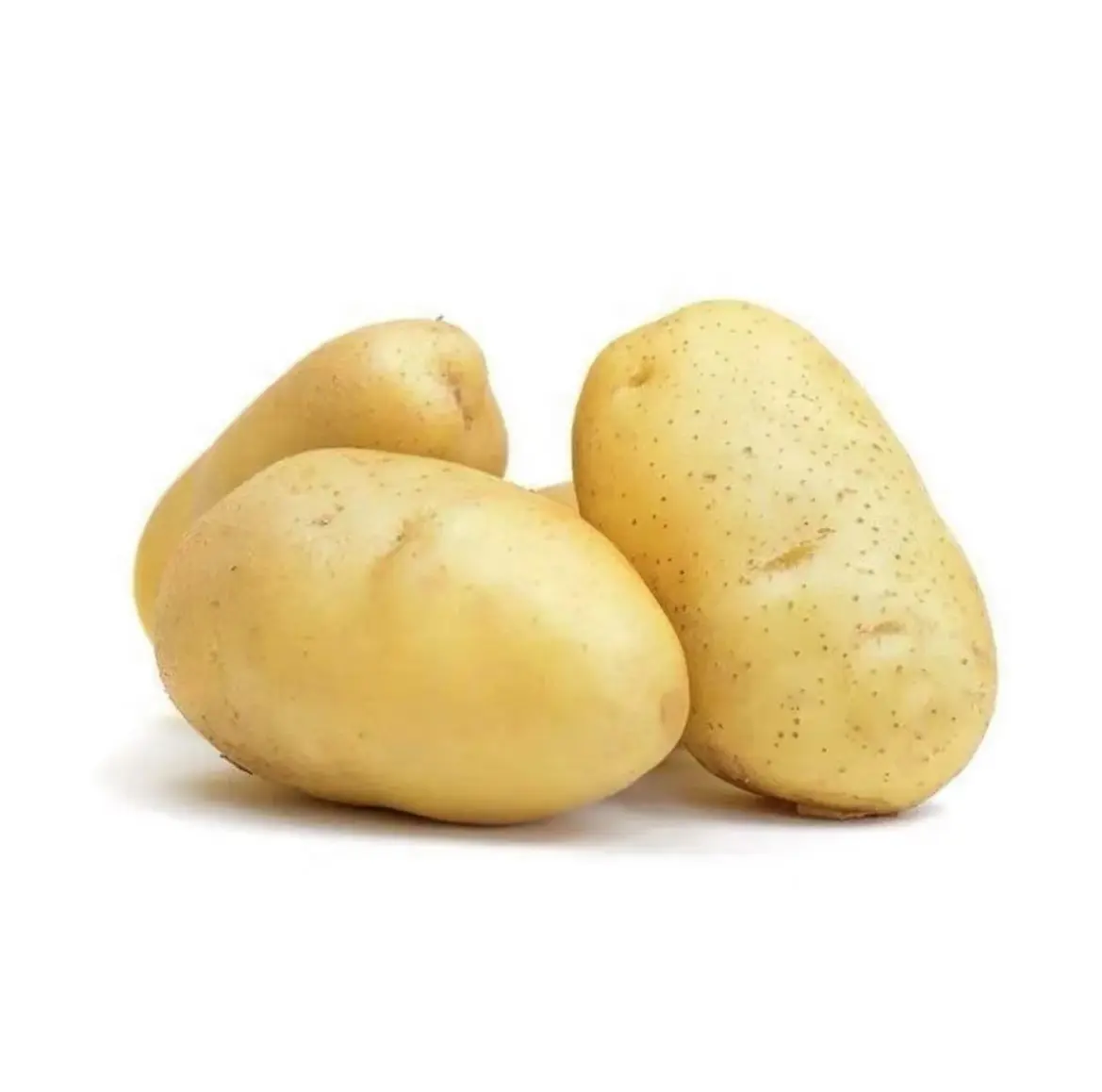 الصين تصدير هولندا أسعار البطاطس الطازجة للبيع