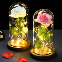 Rose éternelle artificielle lumière LED beauté la bête dans la couverture en verre décoration de noël pour la mère saint valentin cadeau de nouvel an