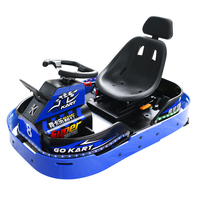 Go Karts Comerciales Pengxing con Motor Eléctrico sin Escobillas de 500W, Crazy Carts para Interiores con Velocidad Ajustable para Todas las Edades