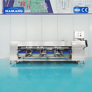 Set Completo di Linee per la Lavorazione di Frutta e Verdura, Adatte per la Produzione su Larga Scala in Stabilimenti Alimentari - Product Image 3