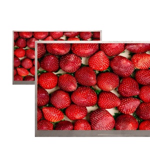 <span class=keywords><strong>4.3</strong></span> inch800 * 480 hiển thị moduletft <span class=keywords><strong>LCD</strong></span> <span class=keywords><strong>40pin</strong></span> RGB giao diện TFT <span class=keywords><strong>LCD</strong></span> hiển thị cảm ứng điện dung màn hình - Product Image 4