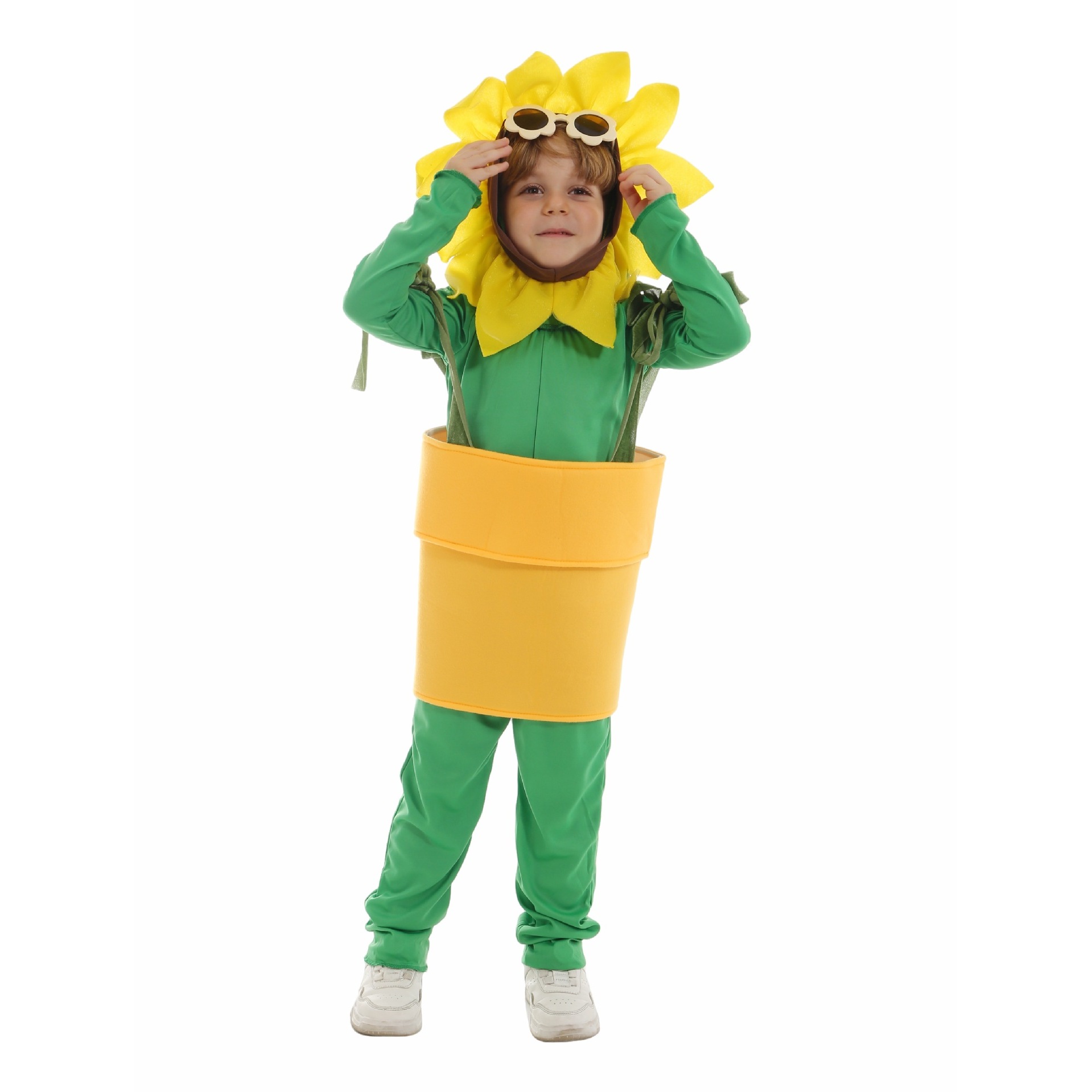 Tournesol en pot