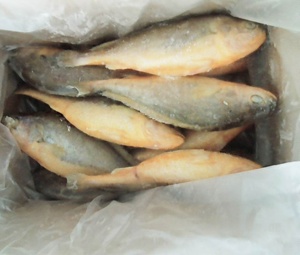 ขายส่งอาหารทะเลแช่แข็งสดคุณภาพสูง Croaker สีเหลือง - Product Image 3