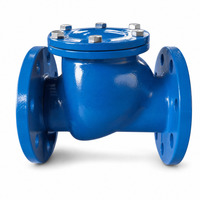 Clapet anti-retour à bride en fonte ductile PN16, type oscillant, pour pompe à eau et ligne de protection incendie