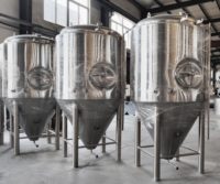 Équipement de micro-brassage 3000L, grande chaudière de brassage pour la fabrication de bière